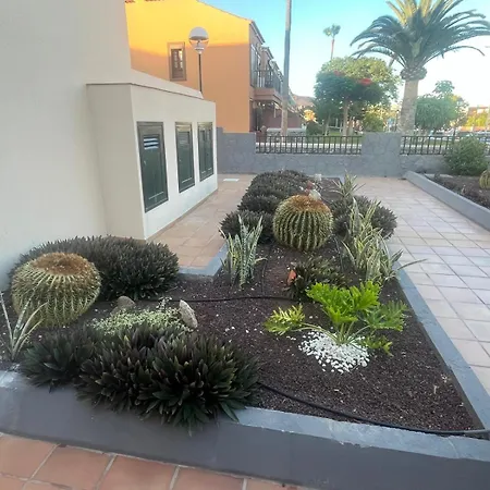 Casa Montana Amarilla 60 Appartement *