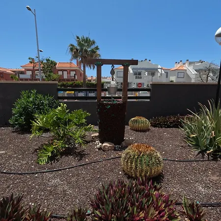 Lägenhet Casa Montana Amarilla 60 *